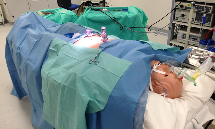 Medical Simulation