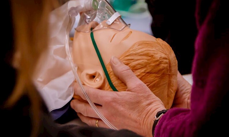 >Simulation Training